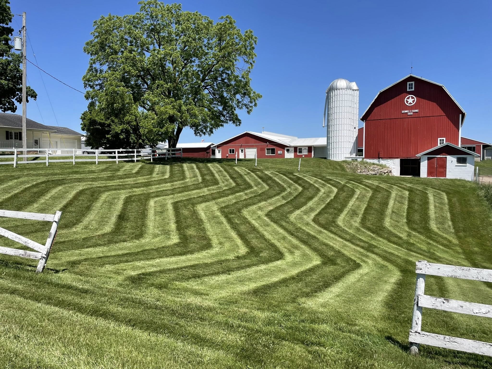 Set Your Mower Higher Than You Think