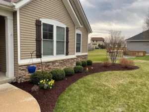 Curved dark mulch bed with low shrubs against a stone skirted home beside a freshly mowed lawn