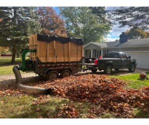 Truck and dump trailer loaded with leaves during a fall cleanup in Laingsburg, Michigan
