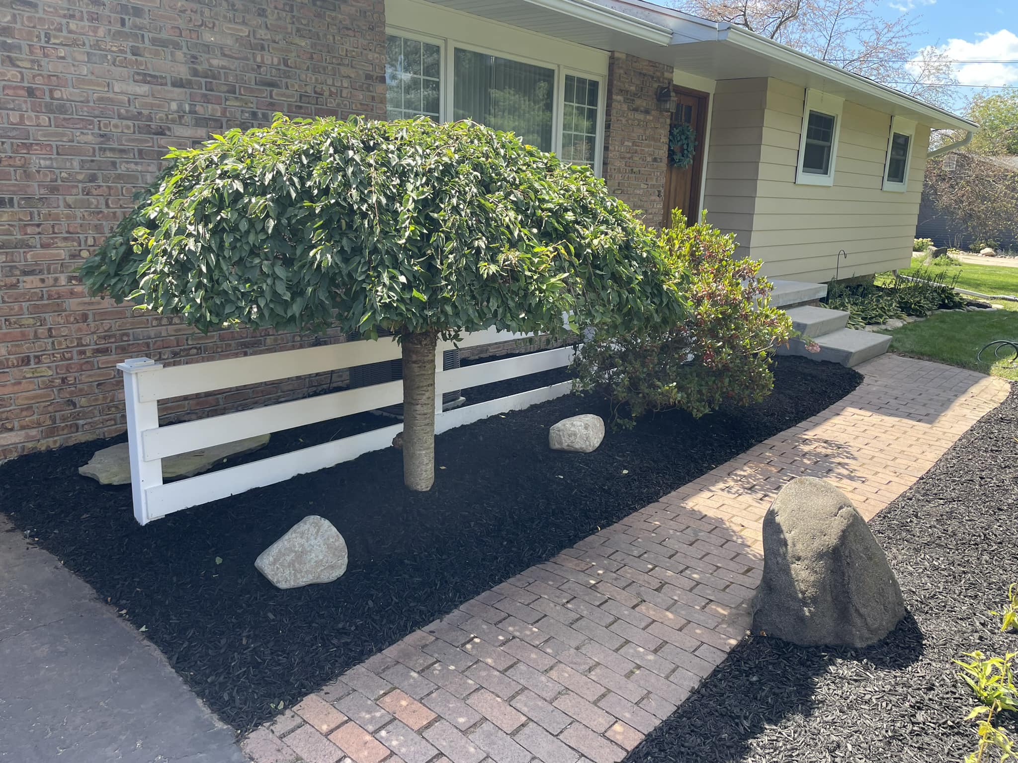 Landscape bed with a young tree, stone edging and white fence at a Laingsburg home