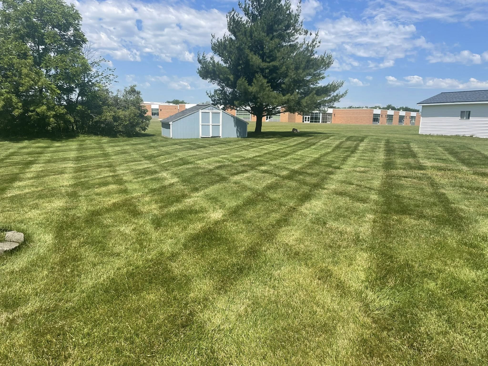 What to Do When Your Lawn Goes Brown in July