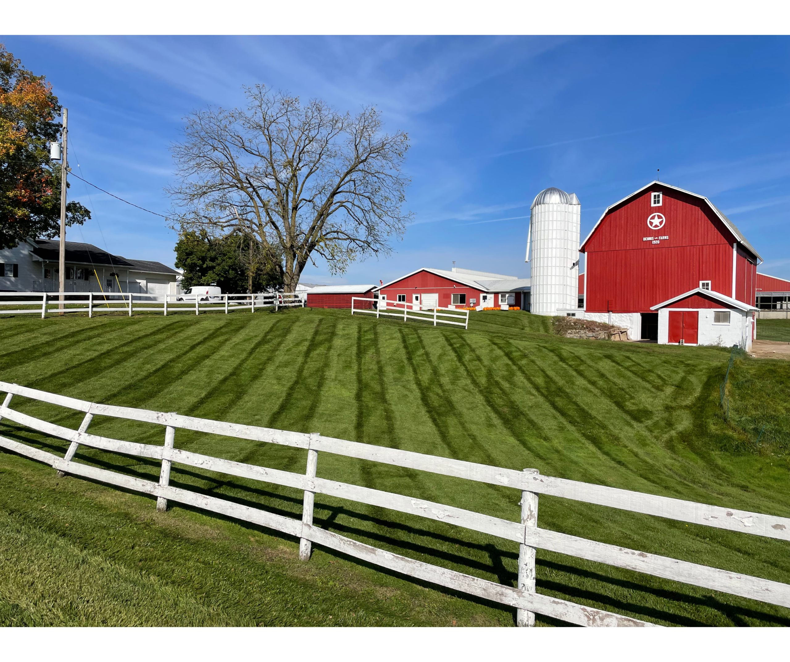 Freshly mowed lawn beside a white board fence and red barn on a Laingsburg farm