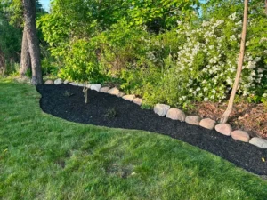 Black mulch bed with a fieldstone border, a flowering shrub and a young staked tree