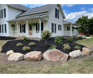 New mulch bed with boulders and fresh plantings across the front of a white farmhouse