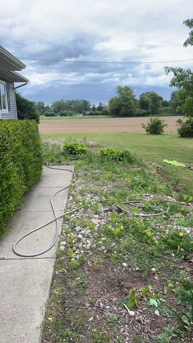 What a Spring Cleanup Actually Covers