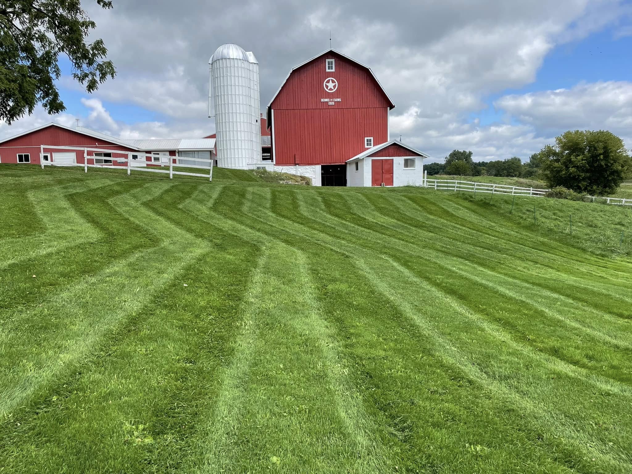 Wide striped lawn mowed beside a red barn and silo in Shiawassee County, Michigan