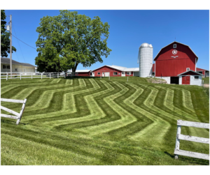 Striped mow running past a shade tree to a red barn and white fence in Laingsburg