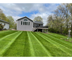 Lawn mowed in clean stripes front to back at a home in Laingsburg, Michigan