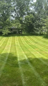 Large open lawn mowed in wide even stripes with a treeline behind in Laingsburg, Michigan